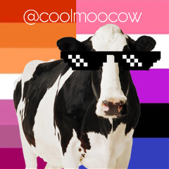 coolmoocow